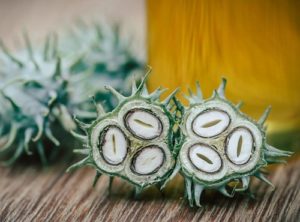 xanthoma and castor oil as a treatment?